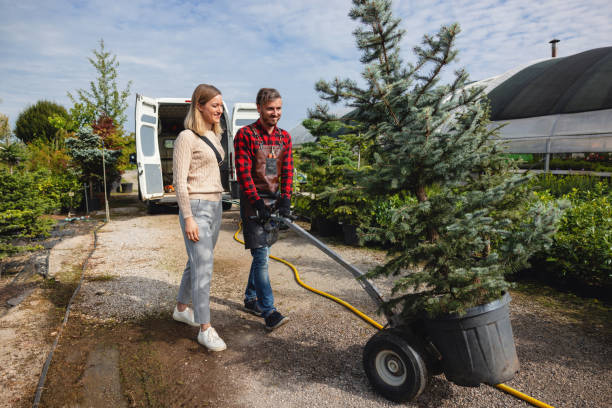 Tree and Shrub Care